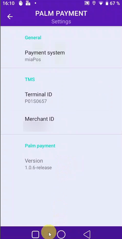 Palm Payment Settings — Terminal ID și Merchant ID