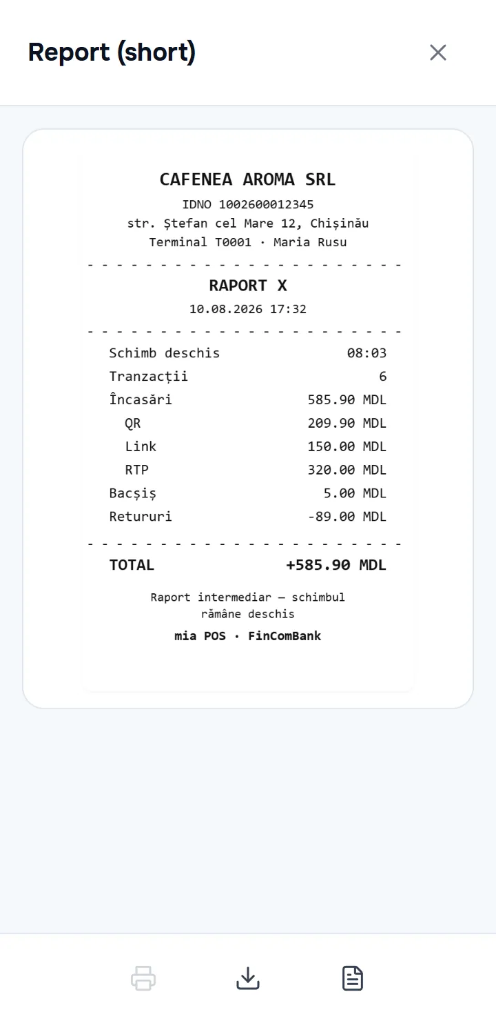 ecranul de previzualizare a unui raport — imaginea documentului, jos butoanele de imprimare/salvare și comutatorul raport scurt/complet.